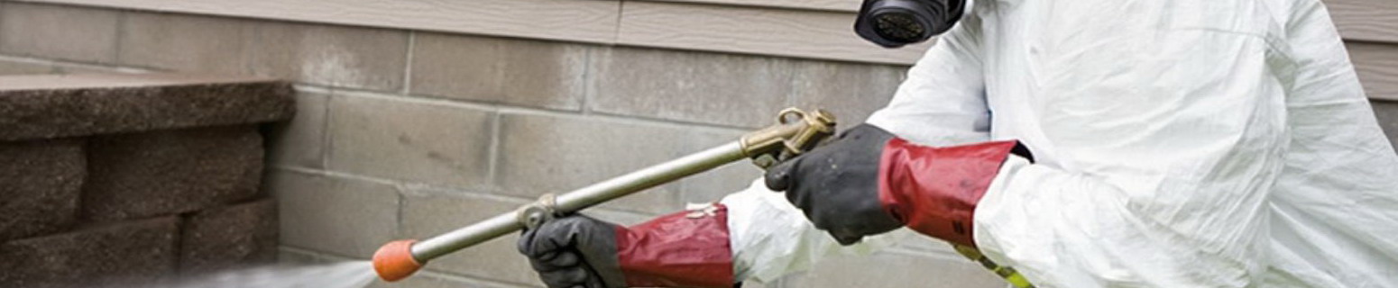 Orange Quality Pest Control